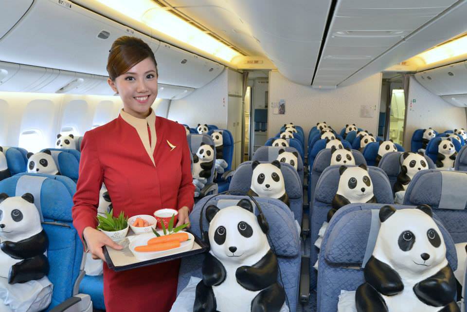 pandas-inside-cx-cabin-crew-1